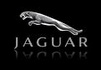 Народження імені: Jaguar