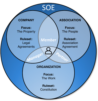   (Self-Organizing Enterprise, SOE)