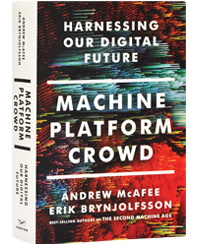 Machine, Platform, Crowd: Harnessing Our Digital Future (, , :    )