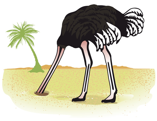 Ефект страуса