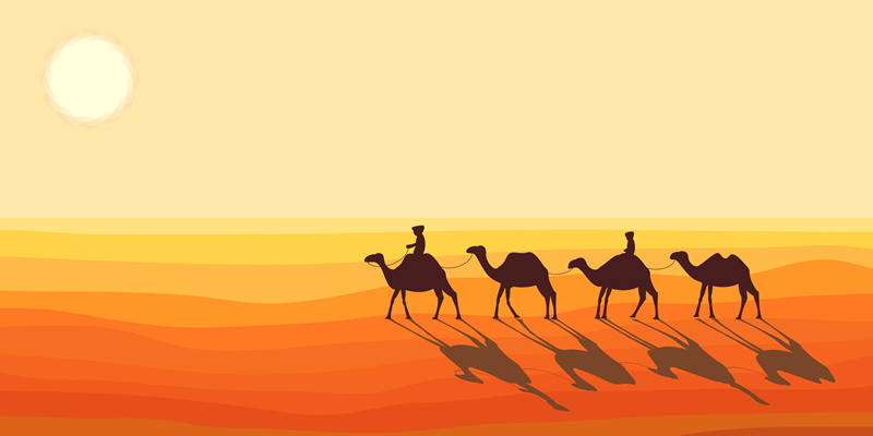 Притча: Як поділити 19 верблюдів