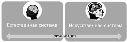 Естественная и искусственная системы