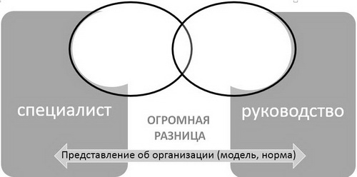Представление об организации (модель, норма)