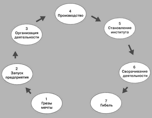 Жизненный цикл организации