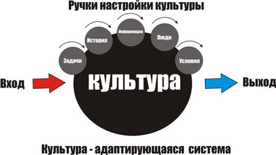 Системное управление культурой