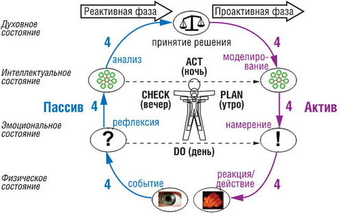 Модель цикла деятельности «6×4»