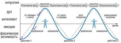 Волна роста и уменьшения энтропии