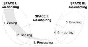 Three Spaces for One Movement: Sensing and Actualizing Emerging Futures (adapted from Jaworski and Scharmer 2000; Scharmer 2000)
