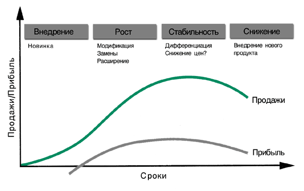 Жизненный цикл продукции
