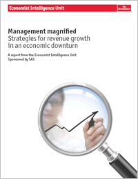 Management magnified: Strategies for revenue growth in an economic downturn