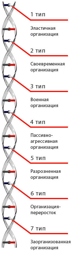 корпоративная ДНК