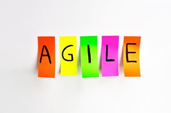 Owner attitude   ,     Agile