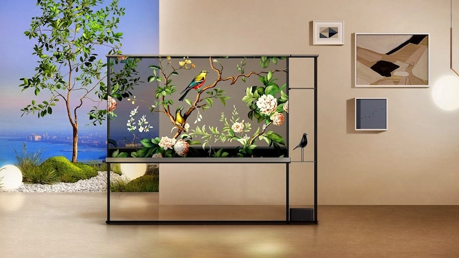 Прозорі OLED телевізори