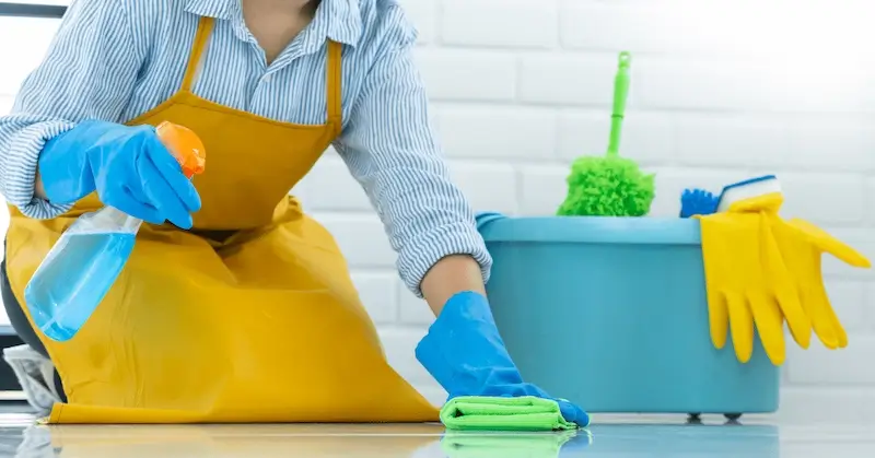 Upholstery Cleaning Services