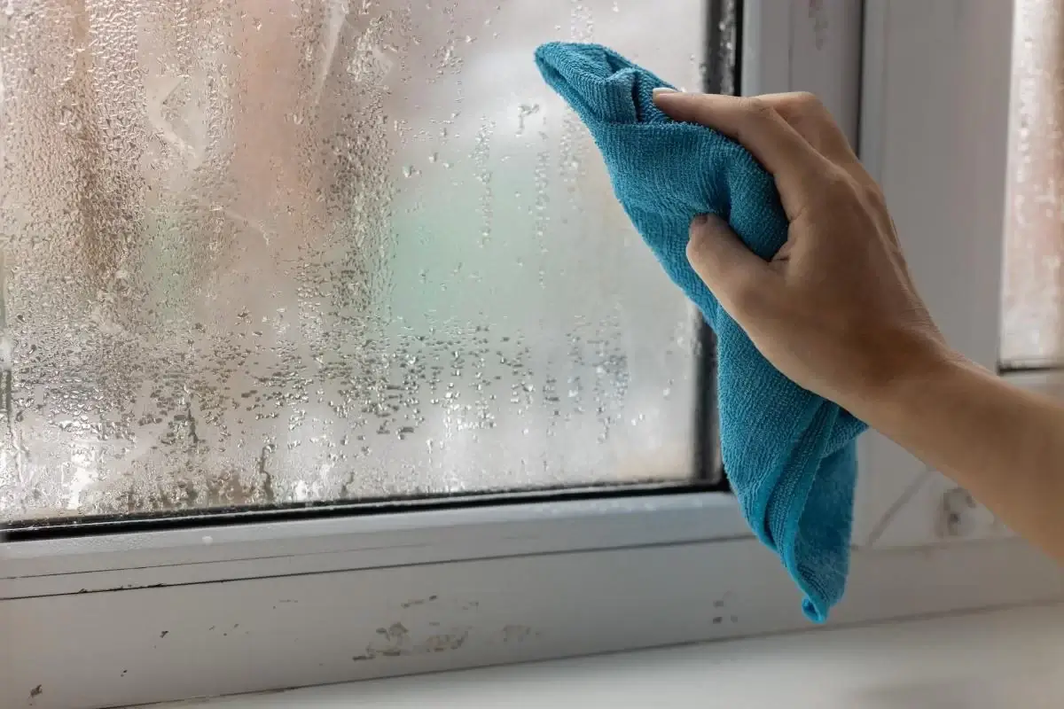 Чому в квартирі підвищується вологість і як її зменшити