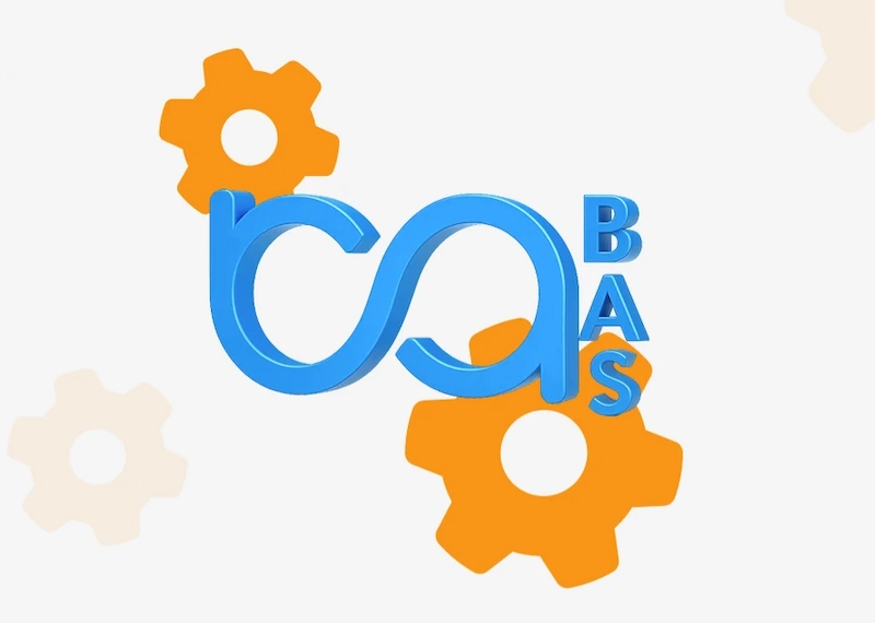 система обліку BAS