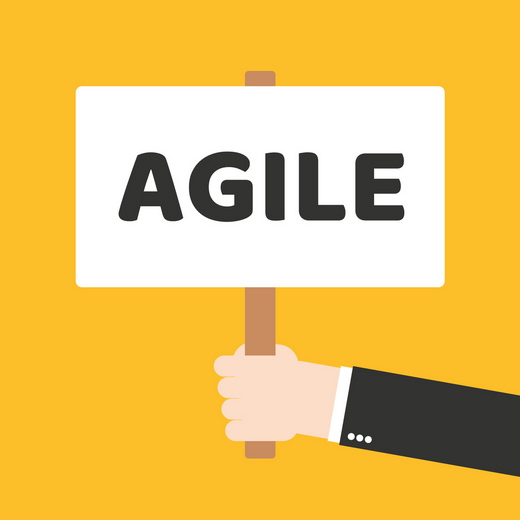 Agile-організація як базова структура майбутнього
